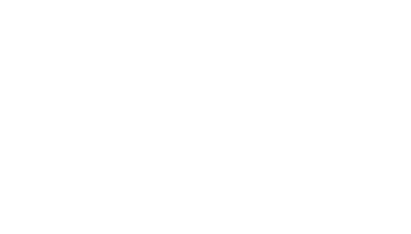 ICEFOR ®